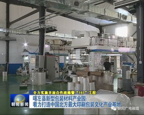 年產值20億元包裝產業園崛起，26家包裝印刷廠共筑產業新高地